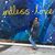 Julie Harris Skinner's profile image