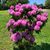 Marilyn Sindel Haendel's profile image