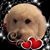Carol Oliva Smith's profile image