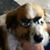 Bobbie Renken's profile image