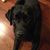 Amy Groh's profile image
