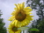 Shelley C.'s profile image