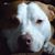 Kevin Sharp's profile image