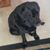 Samuel Morris's profile image