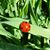 Anne Sunshine Wagner's profile image