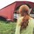 Julie Ann Faust's profile image