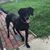 Karen Zimmer Fazi's profile image