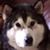 JoeBec Miller's profile image