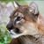 Bobbie Gilbert's profile image