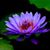 Mary Freller's profile image