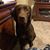 Jay Fruendt's profile image