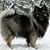 Molly A. Cook's profile image