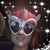 Chelsea Turnbow-Sutton's profile image