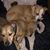 Mare McLin's profile image