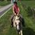 Debra Barber's profile image