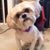 BillnZan Quinn's profile image