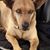 Susan Beebee's profile image
