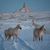 Bill Waggoner's profile image