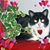 Joanne Jeffrey's profile image