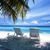 Tammy Griffieth Miller's profile image