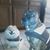 Rosemary Martin's profile image