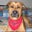 Mark Lonier's profile image