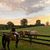 Sherri Rees Dastjerdi's profile image