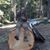 Richard Saucedo Campos's profile image