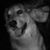Marcia Molina's profile image
