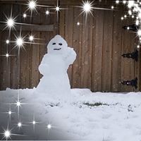 Julie Logsdon's profile image