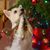 Debbie Dietrich Austin's profile image