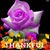 Terry Silvia's profile image