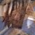 Alwyn Deon Simeina's profile image
