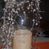 Shania Reeves's profile image