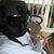 Robert Smeaton's profile image