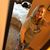 Shirley Gupton's profile image
