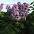 Jane Bedsworth's profile image
