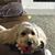 Lisa Chmielewski Smith's profile image