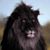 Joseph Robinson's profile image