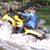 RoseAnn Palmer Severson's profile image