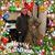 Linda Jones Seyffert's profile image