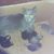 Christine Cushing's profile image