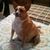 Bonnie Chittum's profile image