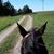 Stephanie Hammrich's profile image