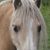 Joanna Lockwood Salmon's profile image
