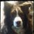 Carlene Bird's profile image