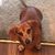 Mary Marshall's profile image