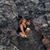 Jennifer Radcliff's profile image