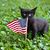 Kellie Sapp's profile image