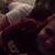 Amanda Horner's profile image
